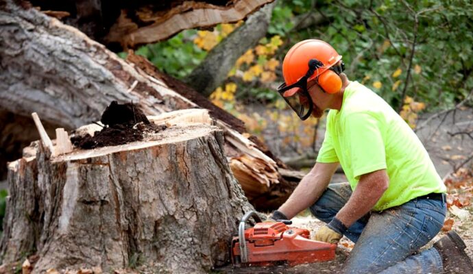 Boynton Beach Tree Trimming and Tree Removal Services Header-We Offer Tree Trimming Services, Tree Removal, Tree Pruning, Tree Cutting, Residential and Commercial Tree Trimming Services, Storm Damage, Emergency Tree Removal, Land Clearing, Tree Companies, Tree Care Service, Stump Grinding, and we're the Best Tree Trimming Company Near You Guaranteed!