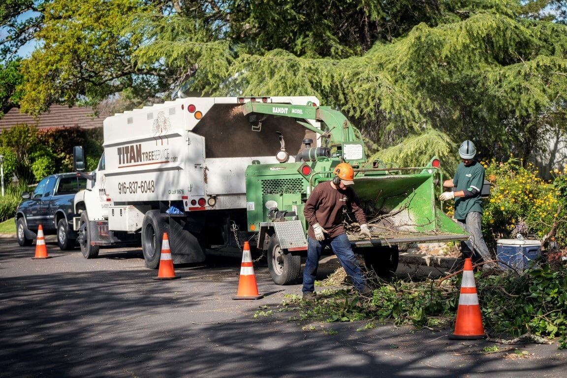 Residential Tree Services-Boynton Beach Tree Trimming and Tree Removal Services-We Offer Tree Trimming Services, Tree Removal, Tree Pruning, Tree Cutting, Residential and Commercial Tree Trimming Services, Storm Damage, Emergency Tree Removal, Land Clearing, Tree Companies, Tree Care Service, Stump Grinding, and we're the Best Tree Trimming Company Near You Guaranteed!