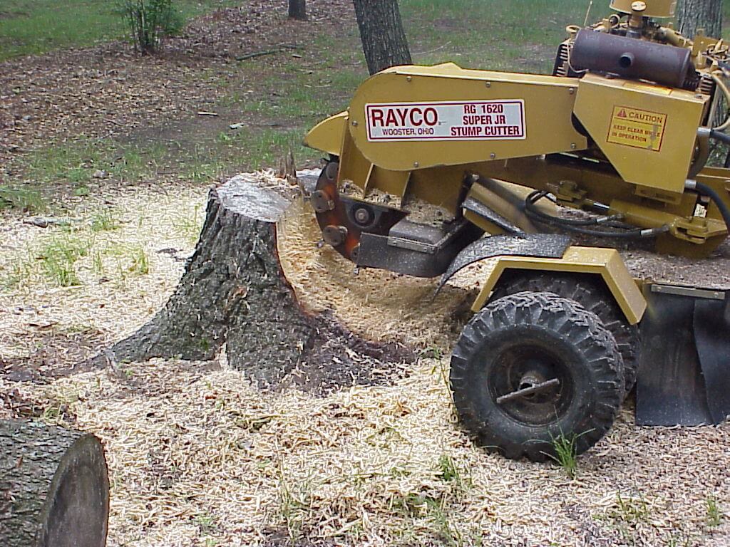 Stump Grinding & Removal-Boynton Beach Tree Trimming and Tree Removal Services-We Offer Tree Trimming Services, Tree Removal, Tree Pruning, Tree Cutting, Residential and Commercial Tree Trimming Services, Storm Damage, Emergency Tree Removal, Land Clearing, Tree Companies, Tree Care Service, Stump Grinding, and we're the Best Tree Trimming Company Near You Guaranteed!