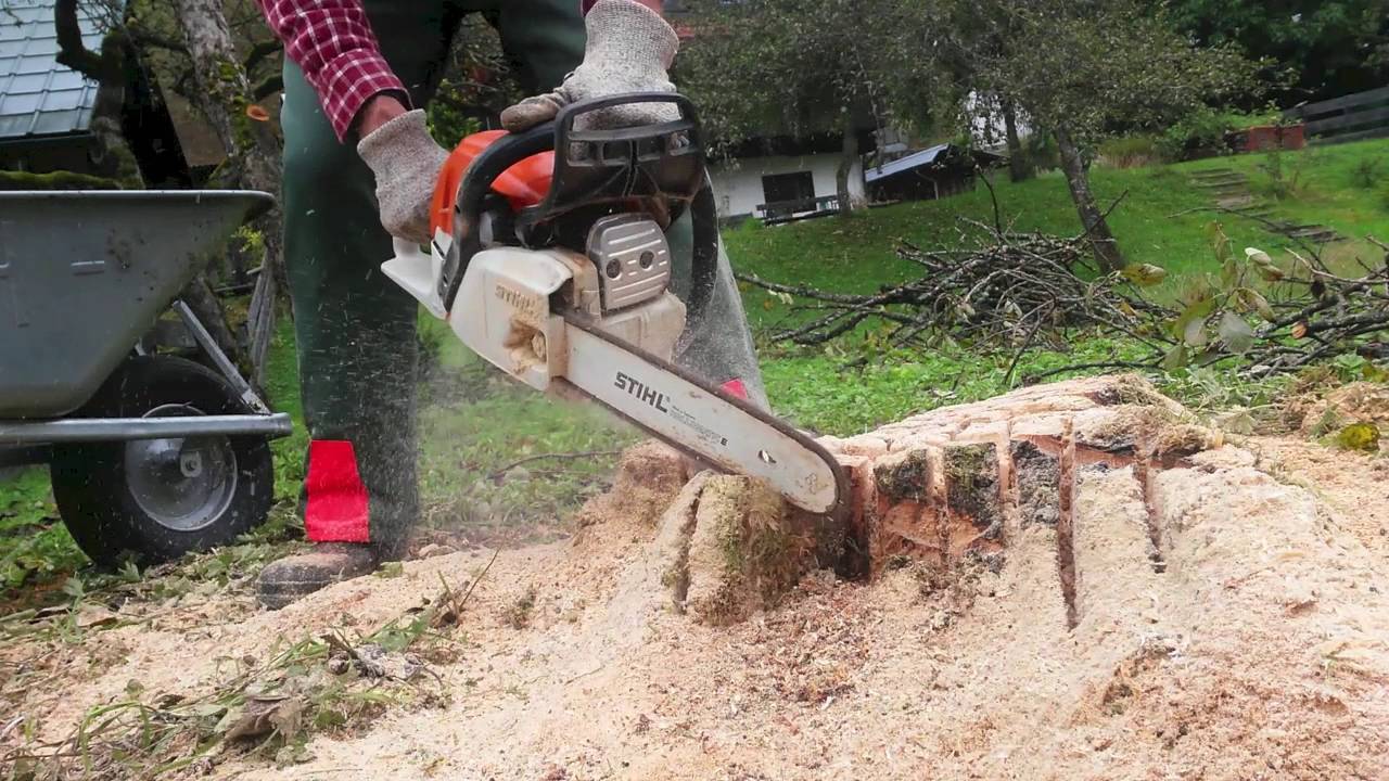 Stump Removal-Boynton Beach Tree Trimming and Tree Removal Services-We Offer Tree Trimming Services, Tree Removal, Tree Pruning, Tree Cutting, Residential and Commercial Tree Trimming Services, Storm Damage, Emergency Tree Removal, Land Clearing, Tree Companies, Tree Care Service, Stump Grinding, and we're the Best Tree Trimming Company Near You Guaranteed!