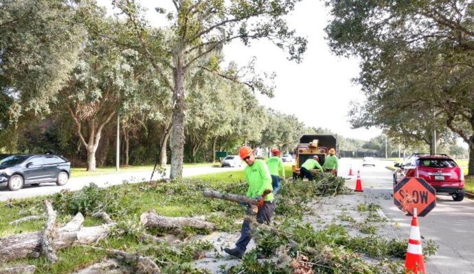Commercial Tree Services Affordable-Pro Tree Trimming & Removal Team of Boynton Beach