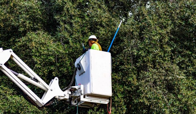 Commercial-Tree-Services-Services Pro-Tree-Trimming-Removal-Team-of-Boynton Beach
