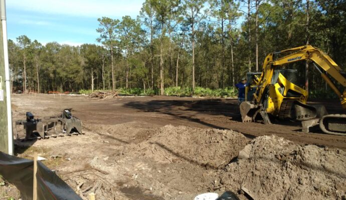 Land Clearing Affordable-Pro Tree Trimming & Removal Team of Boynton Beach