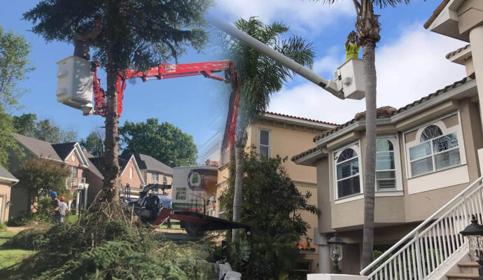 Residential Tree Services Affordable-Pro Tree Trimming & Removal Team of Boynton Beach