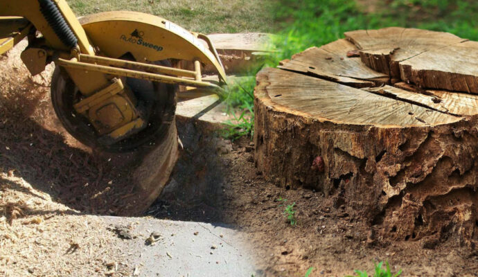 Stump Grinding & Removal Affordable-Pro Tree Trimming & Removal Team of Boynton Beach