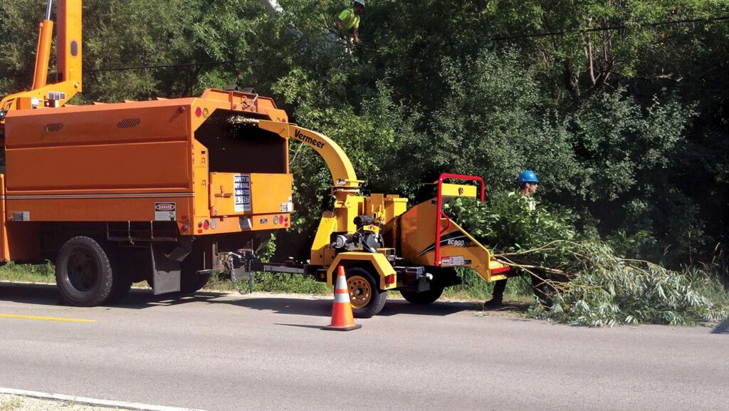Commercial Tree Services-Pros-Pro Tree Trimming & Removal Team of Boynton Beach