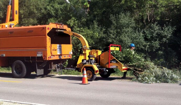 Commercial Tree Services-Pros-Pro Tree Trimming & Removal Team of Boynton Beach