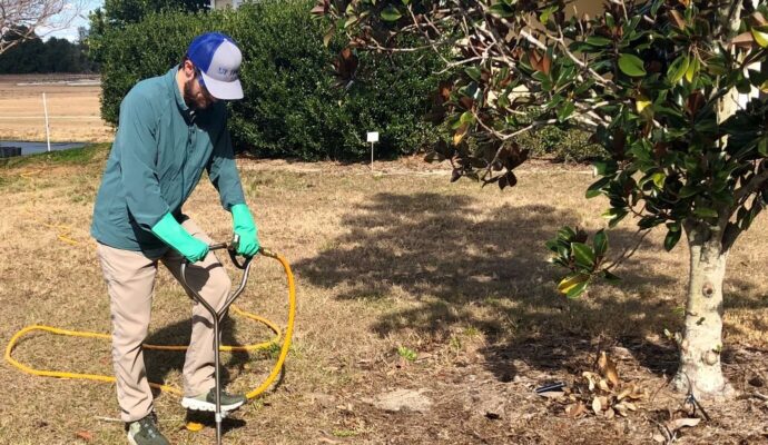 Deep Root Injection Experts-Pro Tree Trimming & Removal Team of Boynton Beach