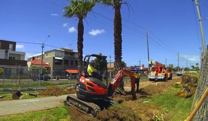 Palm Tree Removal-Pros-Pro Tree Trimming & Removal Team of Boynton Beach
