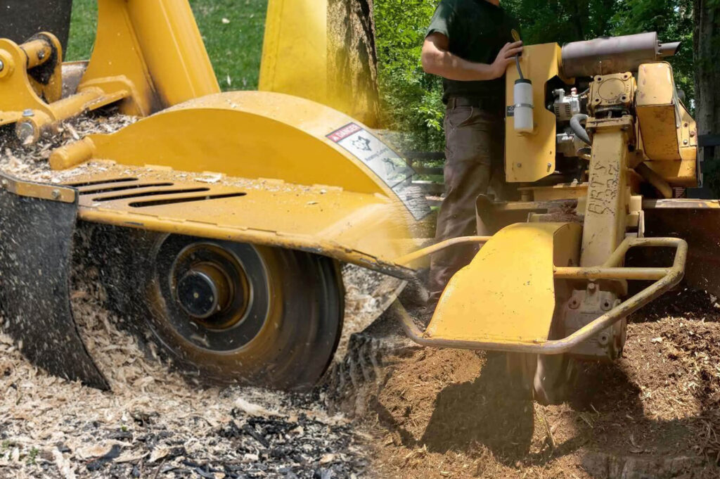 Stump Grinding & Removal Experts-Pro Tree Trimming & Removal Team of Boynton Beach