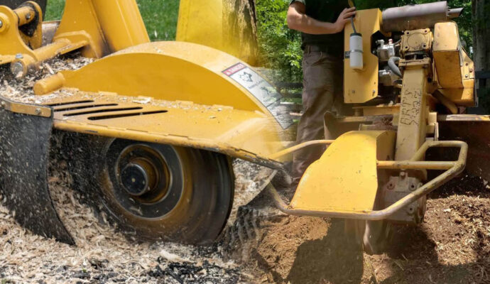 Stump Grinding & Removal Experts-Pro Tree Trimming & Removal Team of Boynton Beach